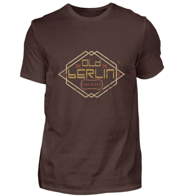 Herren Premium T-Shirt - Herren Premiumshirt-1074