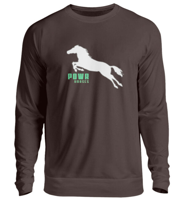 UNISEX SWEATSHIRT Powr Horses - Unisex Pullover-1604