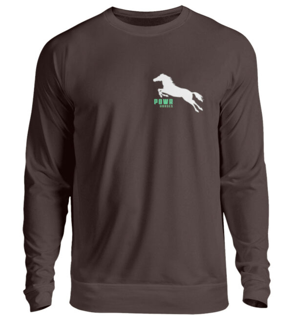 UNISEX SWEATSHIRT Powr Horses - Unisex Pullover-1604