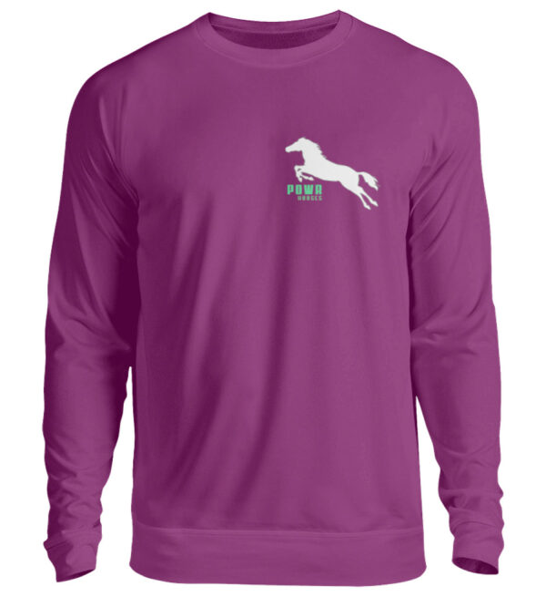 UNISEX SWEATSHIRT Powr Horses - Unisex Pullover-1658